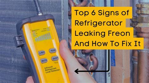 freon leaking from fridge|5 Signs of a Freon Leak in Your Refrigerator